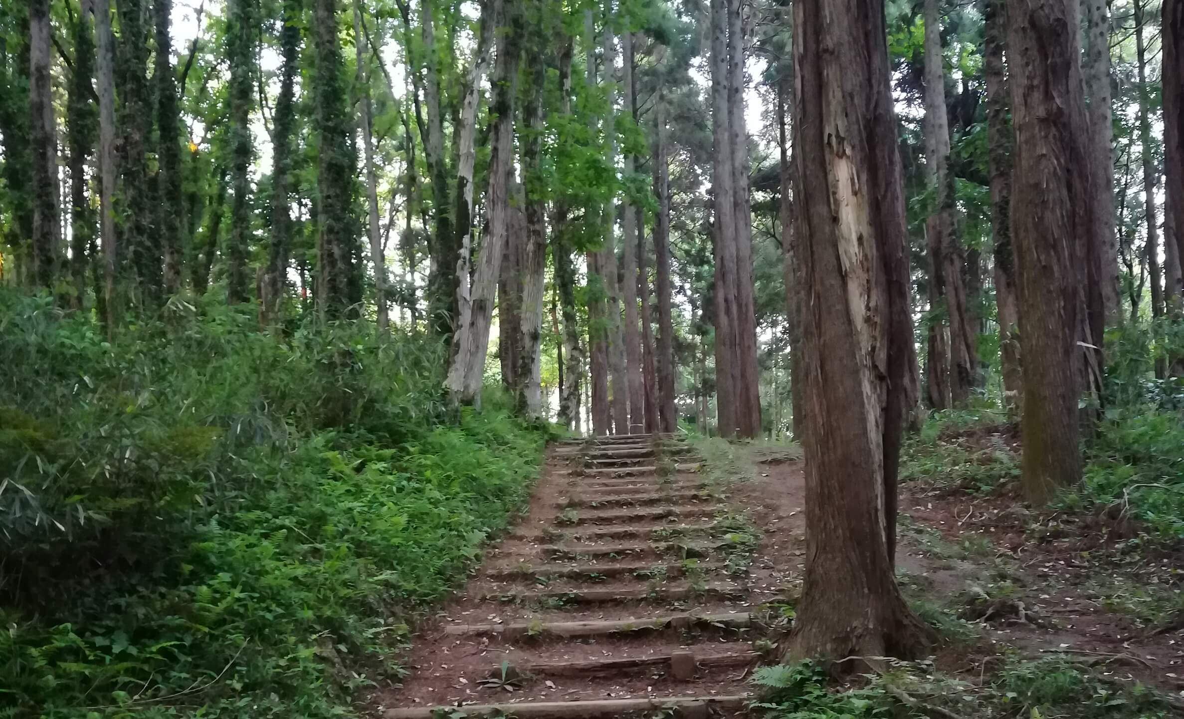 胃腸障害を軽減して大会後もしっかり食事ができるように